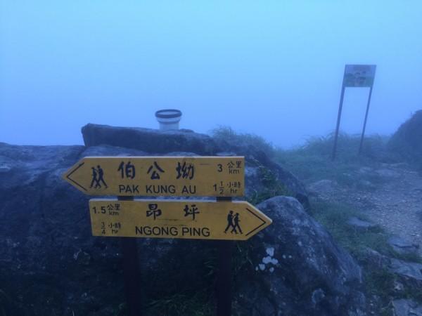 再度临停一小时！两只跨境ETF发布溢价风险提示